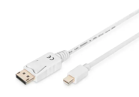 DisplayPort Connection Cable