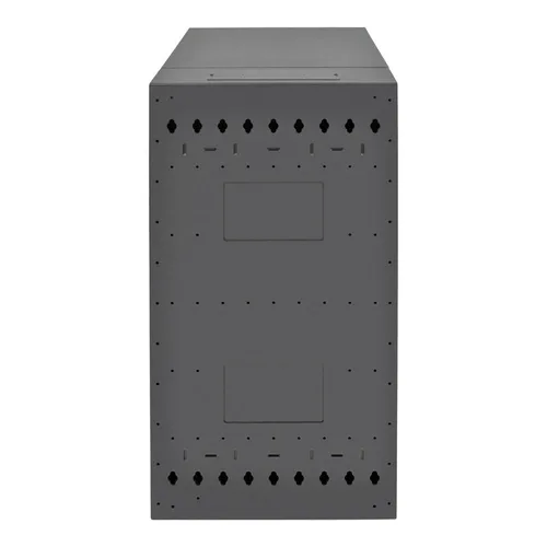 Tripp Lite SRWF16U38 SmartRack 16U Low-Profile Vertical-Mount Wall-Mount Half-Height Server Rack Enclosure