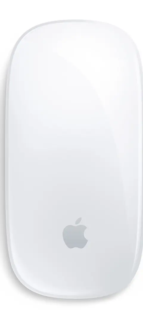 Apple Magic mouse Office Ambidextrous Bluetooth