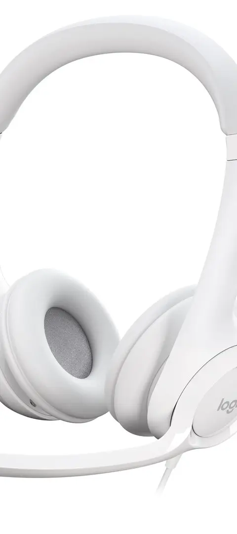 Logitech H390 USB Computer Headset